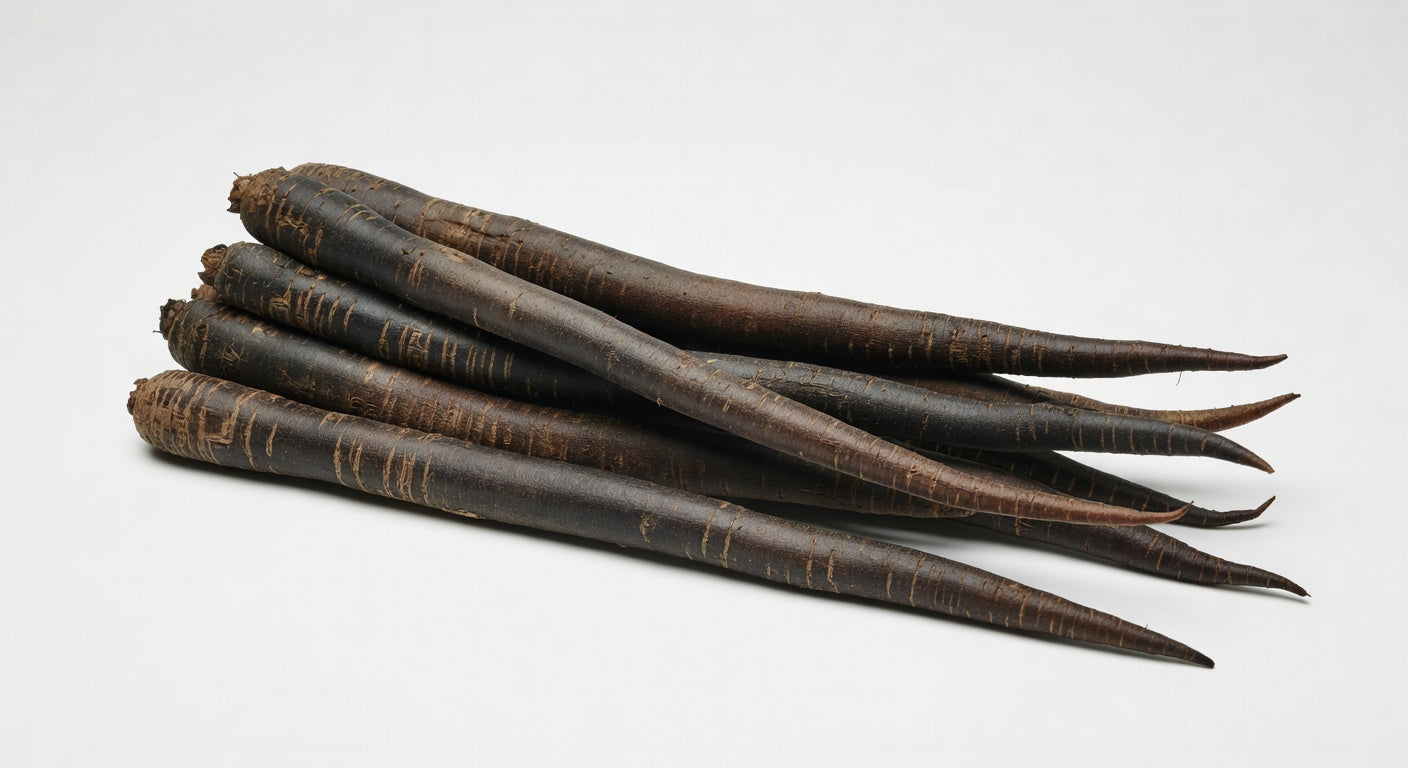 Salsify 5x1kilo