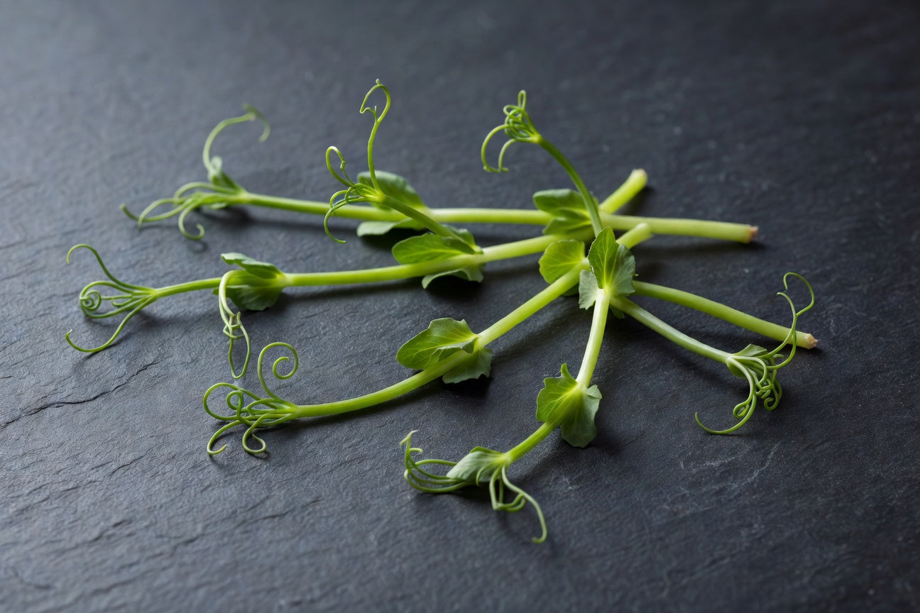 Fresh Pea Shoots — 3 lb Case | Bloom Produce