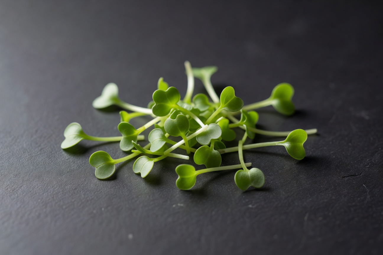 Micro Arugula (4 oz) | Bloom Produce
