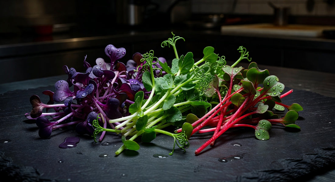Microgreens Near Me: A Mountain Chef's Guide to Sourcing the Good Stuff