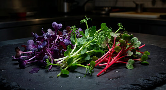 Microgreens Near Me: A Mountain Chef's Guide to Sourcing the Good Stuff
