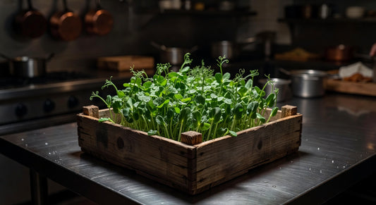 Where to Buy Fresh Pea Sprouts Online — Same-Day Delivery, No Minimum Order
