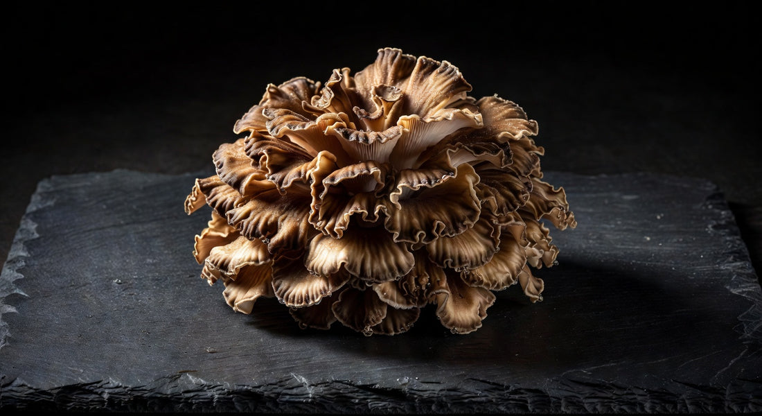 Hen of the Woods Mushrooms: Same-Day Delivery to Mountain Kitchens That Won't Wait
