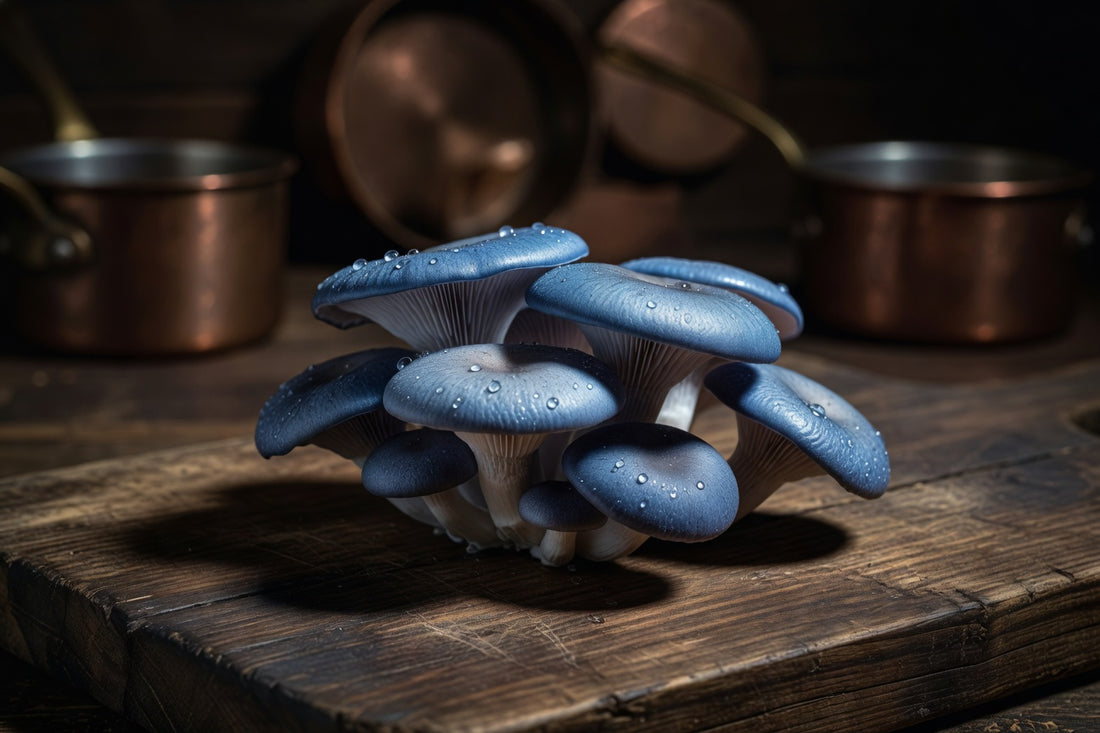 Buy Oyster Mushrooms Online — Fresh Varieties, Ships Overnight