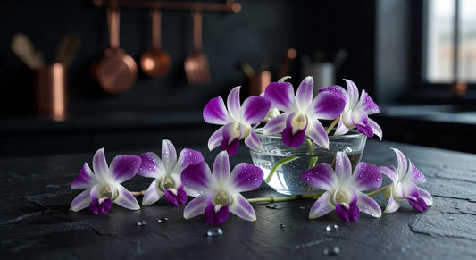 Edible Orchid Flowers for Sale: The Complete Buying & Usage Guide