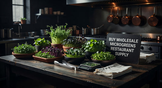 Your Guide to Buy wholesale microgreens restaurant supply