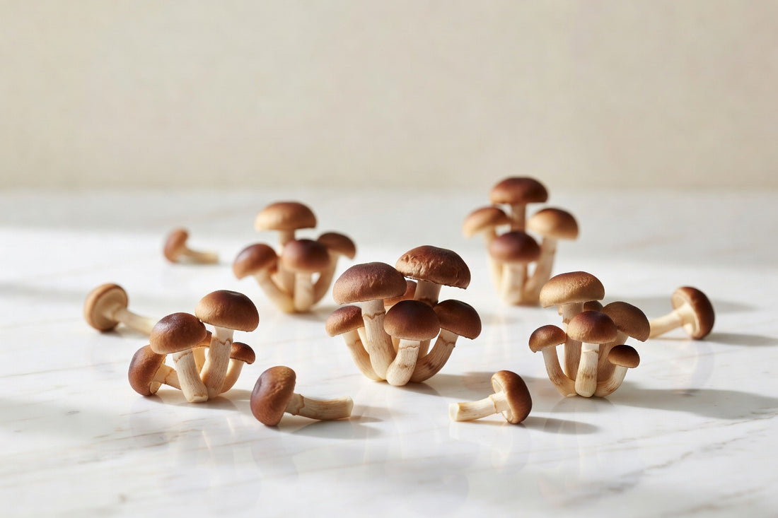 Where to Buy Brown Bunashimeji Mushroom Online: A Practical Sourcing Guide