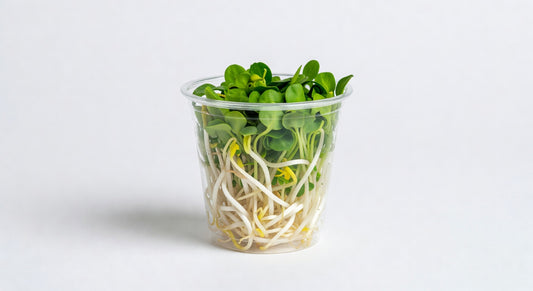 Alfalfa Sprouts Cup 12x3.5 oz