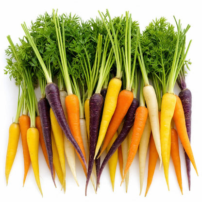 Baby Rainbow Carrots