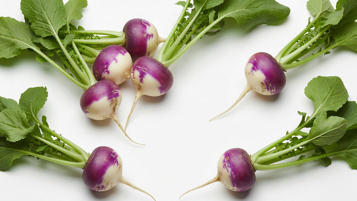 Baby Turnip 2DZ