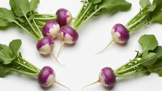 Baby Turnip 2DZ