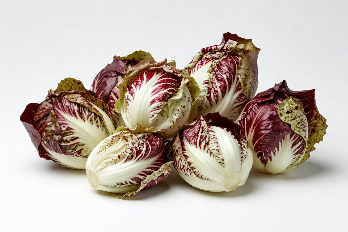 Castelfranco 12CT