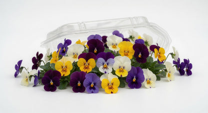 Edible Pansy Flowers (50 Count)