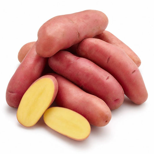 Fingerling Amarosa
