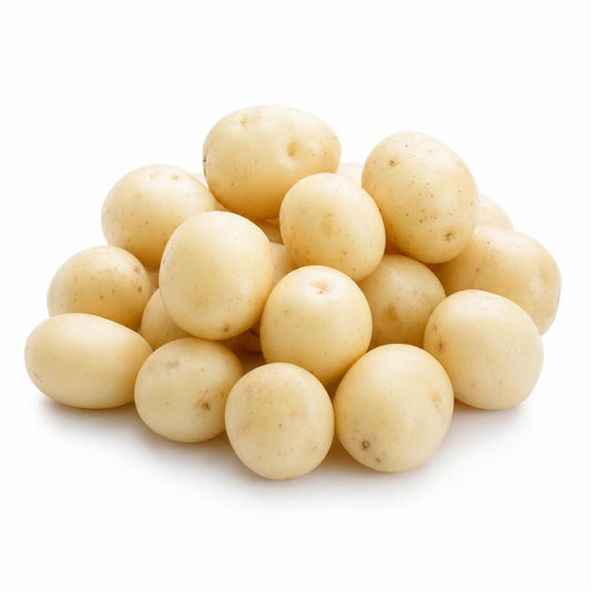 Fingerling Peewee White