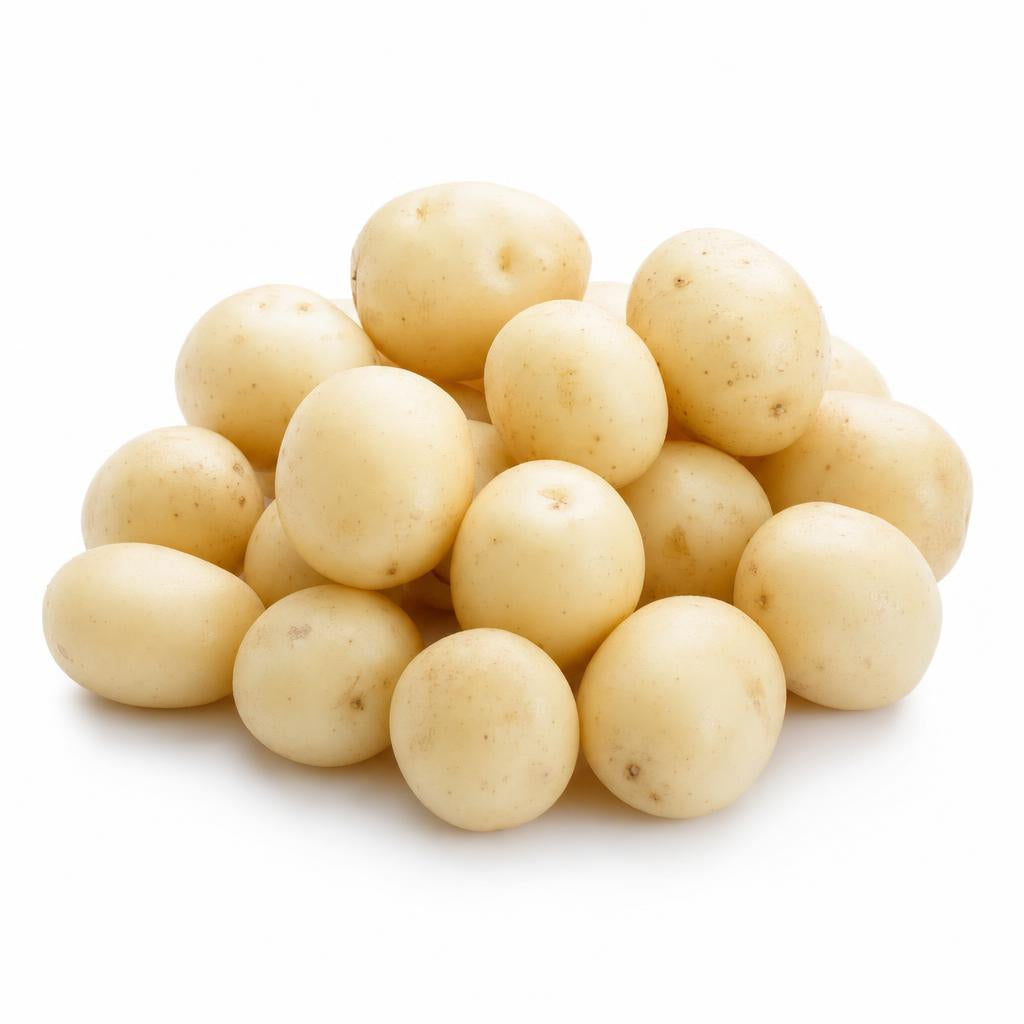 Fingerling Peewee White