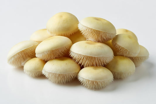 Hedgehog Mushrooms (5 lb)