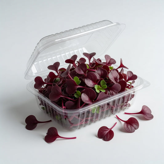 Micro Bulls Blood Beet Microgreens (4 oz)
