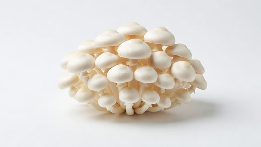 Mushroom Bunashimeji White 24x3.5oz