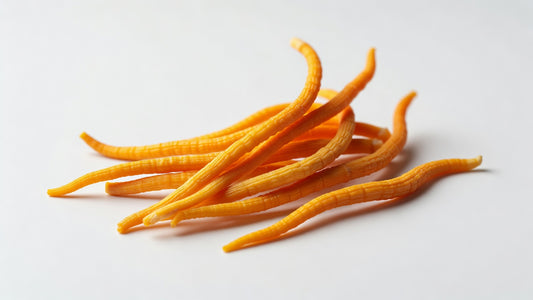 Mushroom Cordyceps 5#