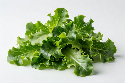 Fresh Lettuce Baby Green OAK - Bloom Produce