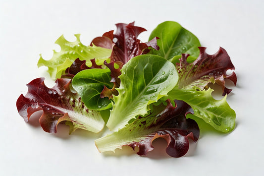 Fresh Lettuce Baby Mixed - Bloom Produce