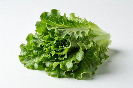 Fresh Lettuce Hydro Uplnd Crss Petes 12CT - Bloom Produce