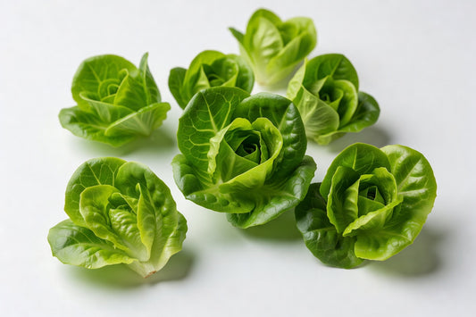Fresh Lettuce Little GEM RED T&a 6# - Bloom Produce