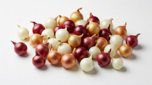 Fresh Pearl Onion Gold Vexar - Bloom Produce