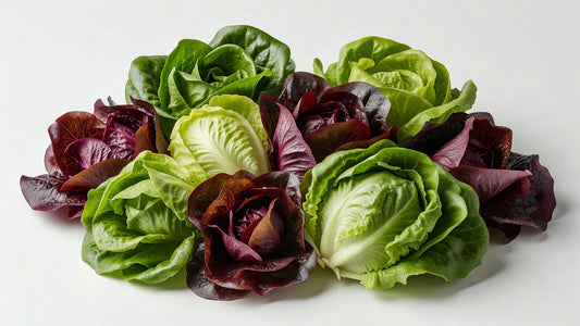 Fresh Lettuce Artisan Lettuce 8# - Bloom Produce