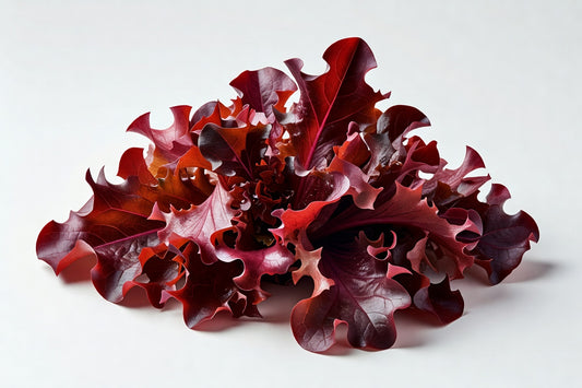 Fresh Lettuce Baby RED OAK - Bloom Produce