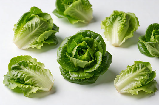 Fresh Lettuce Little GEM Green T&a 24CT - Bloom Produce
