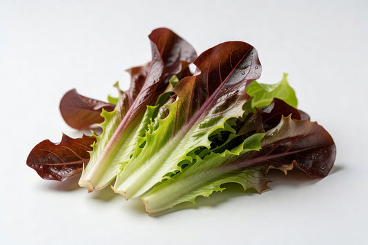 Fresh Lettuce Baby RED Romaine - Bloom Produce