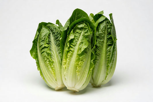 Fresh Lettuce Baby Green Romaine - Bloom Produce