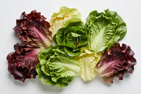 Fresh Lettuce Artisan Lettuce 6X4CT - Bloom Produce