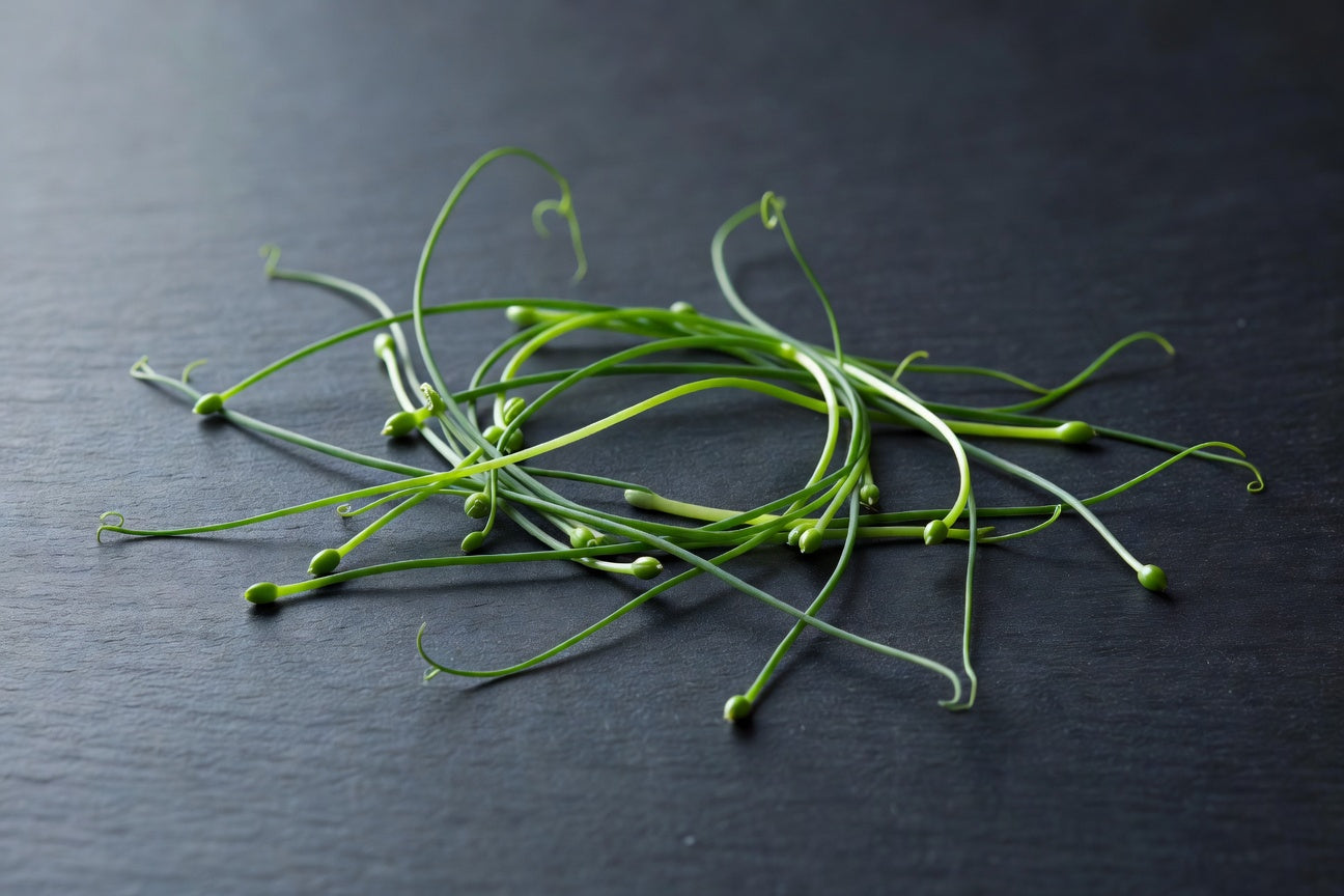 Fresh Onion Sprouts — 1 lb | Bloom Produce