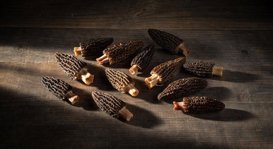 Mushroom DRY Morel 1#BAG