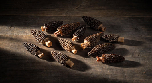 Mushroom DRY Morel 1#BAG