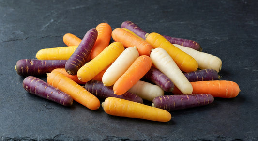Baby Carrots — Assorted Colors, 2 Dozen | Bloom Produce