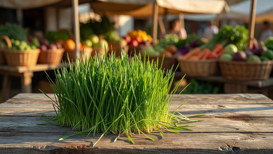 Wheat Grass