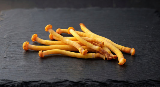 Fresh Cordyceps Mushrooms (5 lb) | Bloom Produce