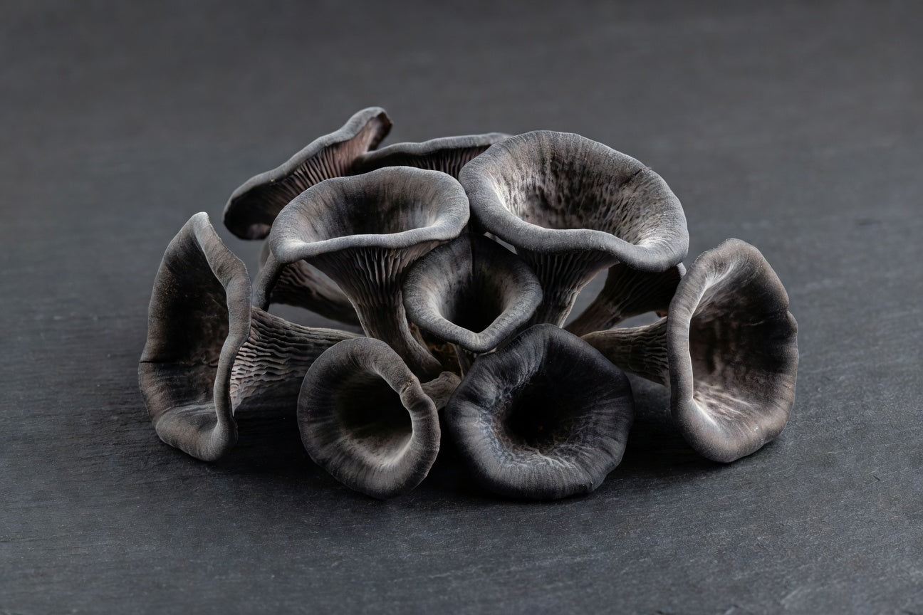 Black Trumpet Mushrooms 5 lb | Bloom Produce