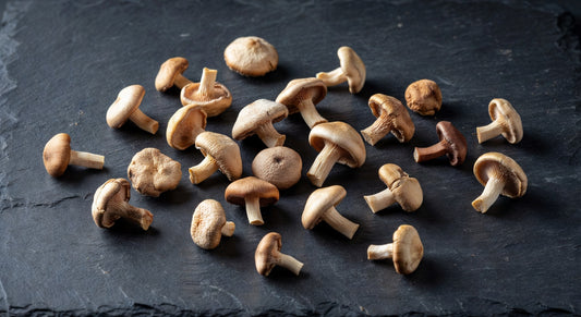 Dried Straw Mushrooms (1 lb) | Bloom Produce