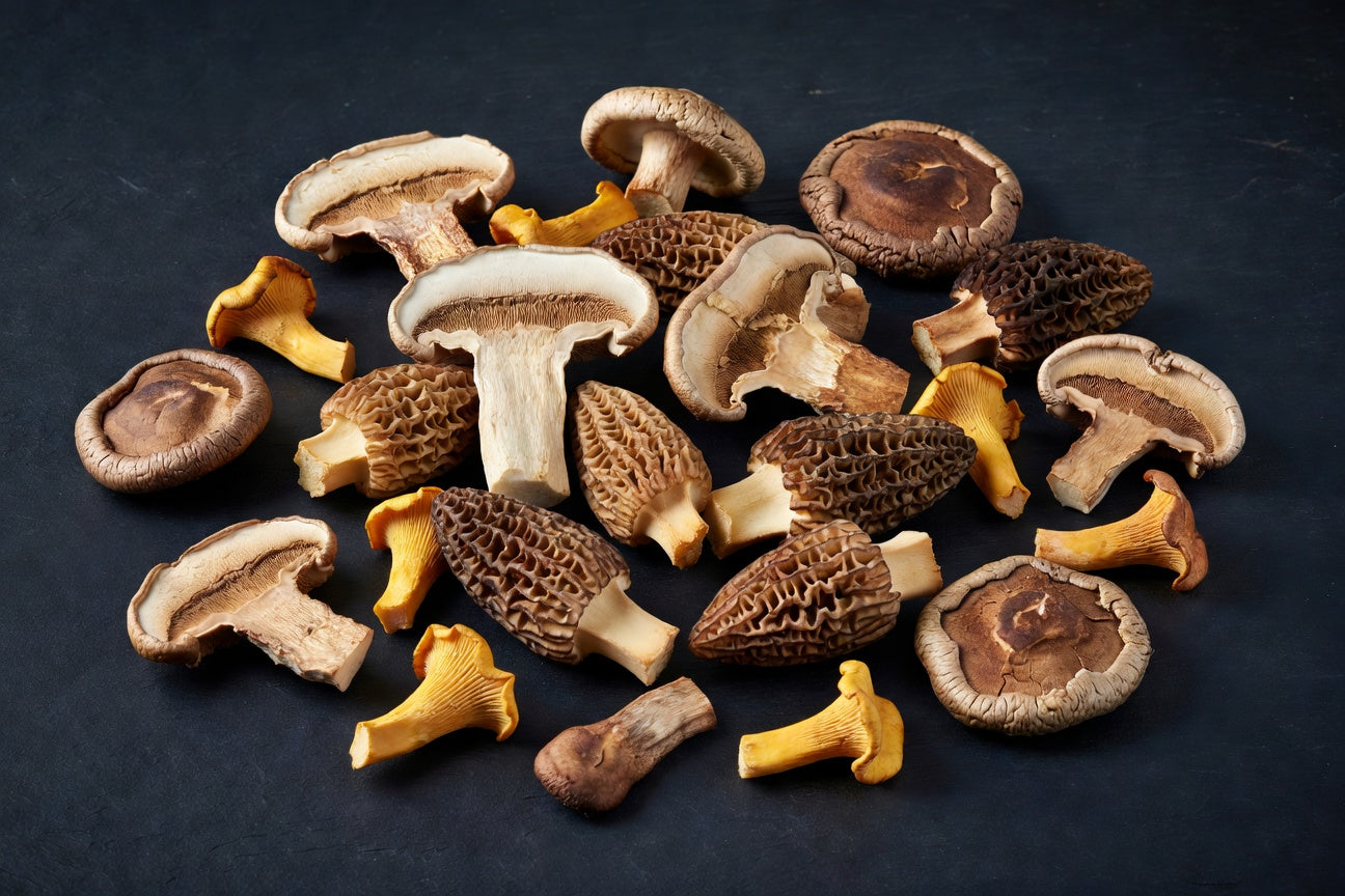 Dried Forest Mushroom Mix — Grade B (1 lb) | Bloom Produce